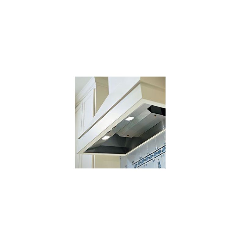 Vent-A-Hood BH240SLD 42 Inch BHSLD 600 CFM Wall Mounted Liner Insert with Dual B Stainless Steel Range Hood